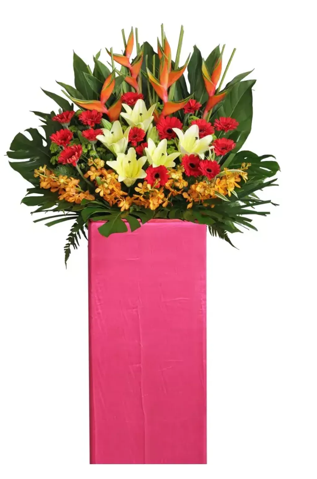 Opening Flower 139