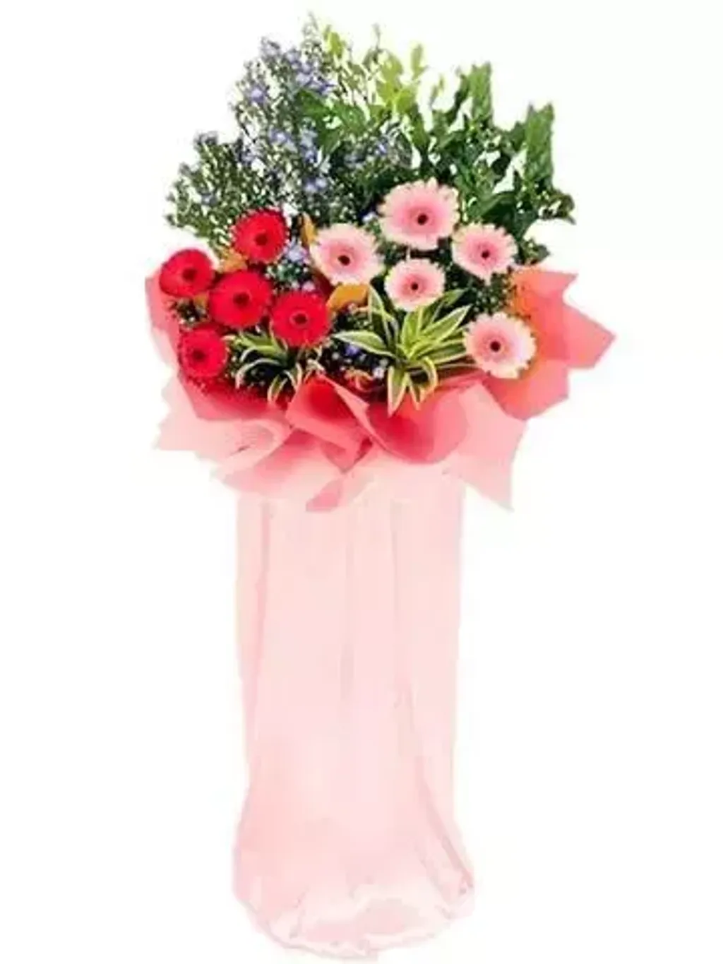 Opening Flower 36