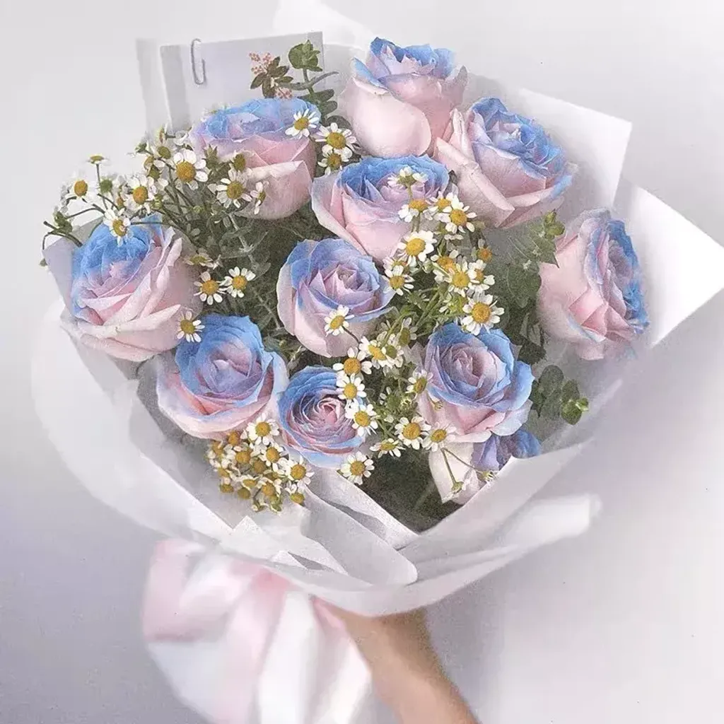 2 Tones Rose Bouquet 17