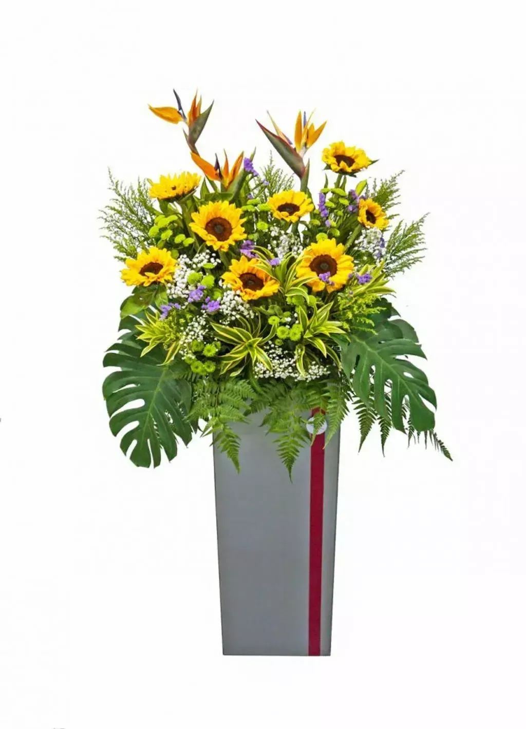 Opening Flower 193