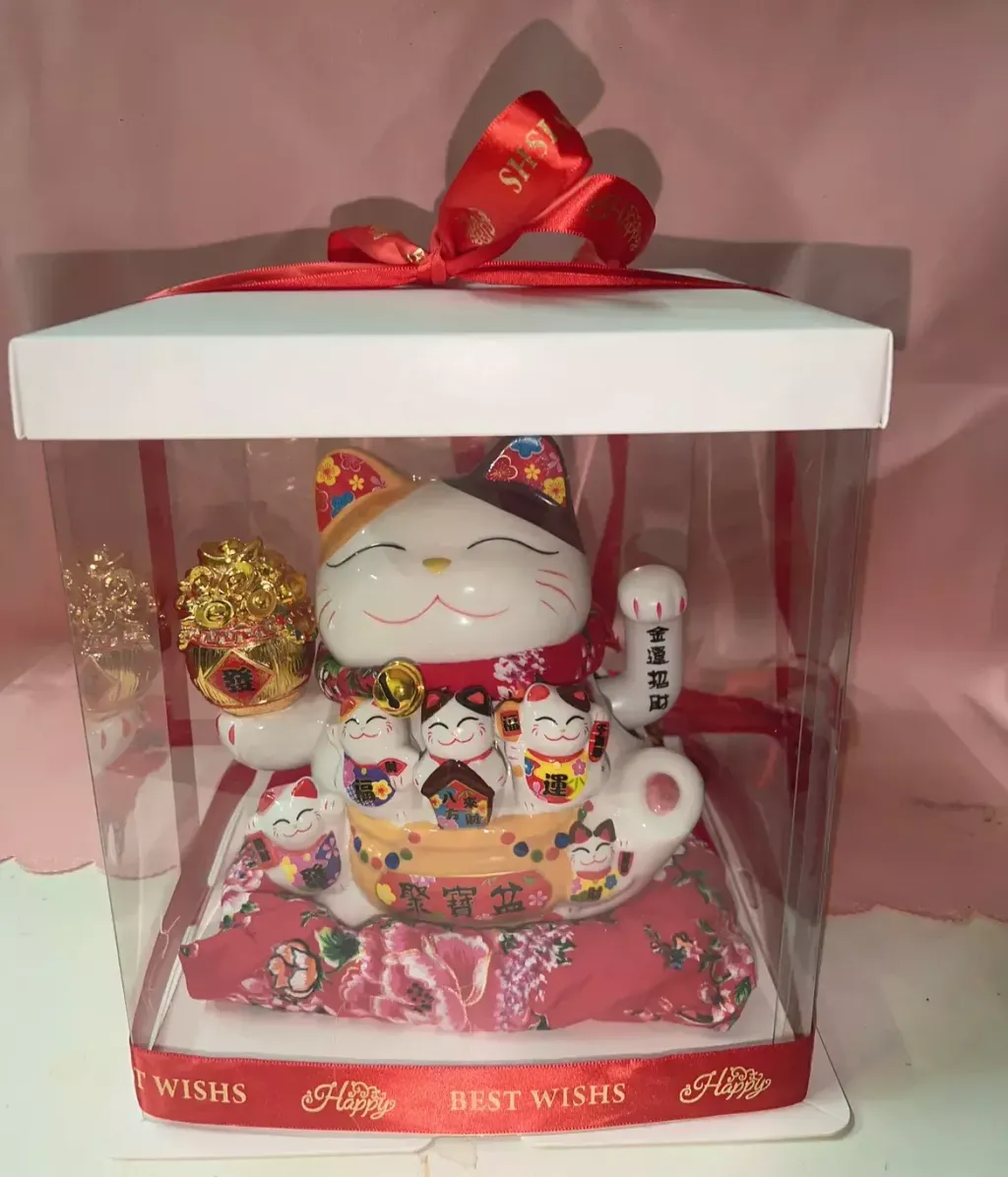 Lucky Cat with Box