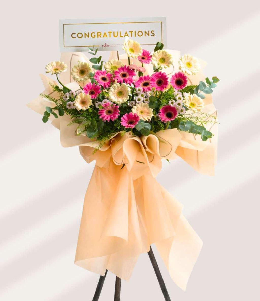 Opening Flower 230
