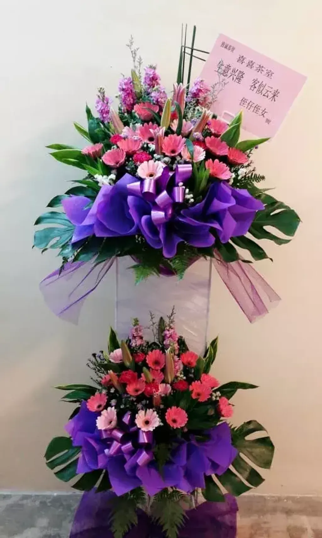 Opening Flower 149