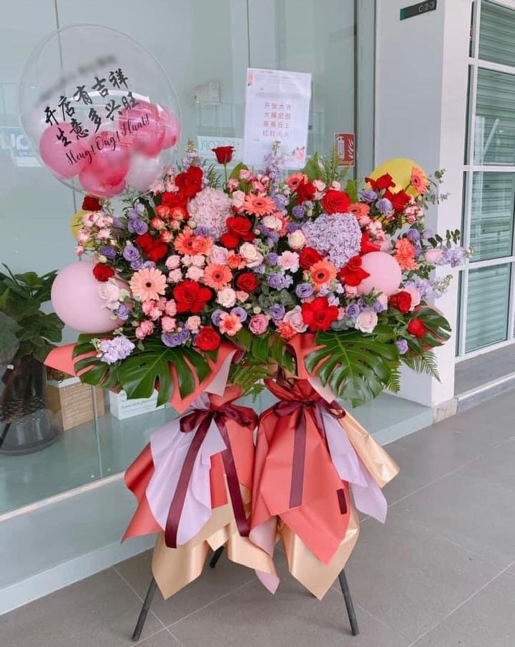 Opening Flower 241