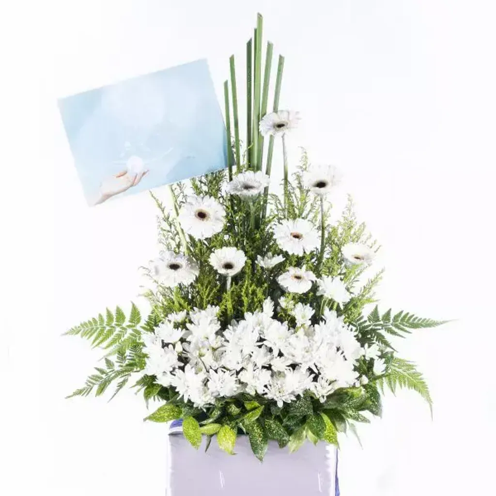 Condolences Stand 63